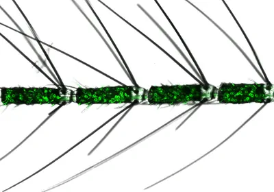 Close-up of a mosquito antenna with hair-like protrusions and fluorescently labeled glomeruli as green circles on the shaft
